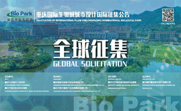 重庆国际生物城城市设计国际征集