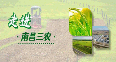 南昌市农产品区域公用品牌设计方案征集