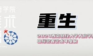 2024西南财经大学天府学院美术馆国际装