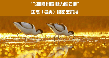 未标题-1.gif