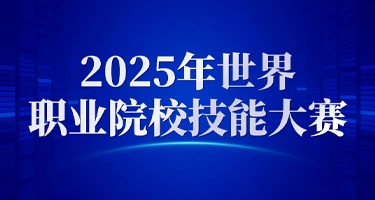 2025年世界职业院校技能大赛
