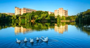 浙江财经大学校园文创大赛