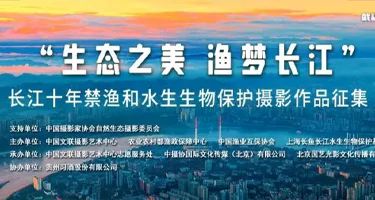 2025“生态之美 渔梦长江”长江十年禁渔和水生生物保护摄影