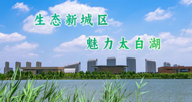 2025济宁太白湖新区“湖韵漫创”动漫文创产品设计大赛