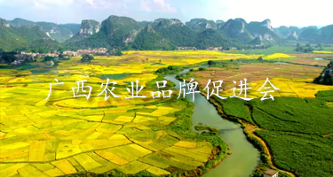 广西农业品牌促进会会徽征集