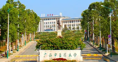 广西中医药大学70周年校庆标识征集